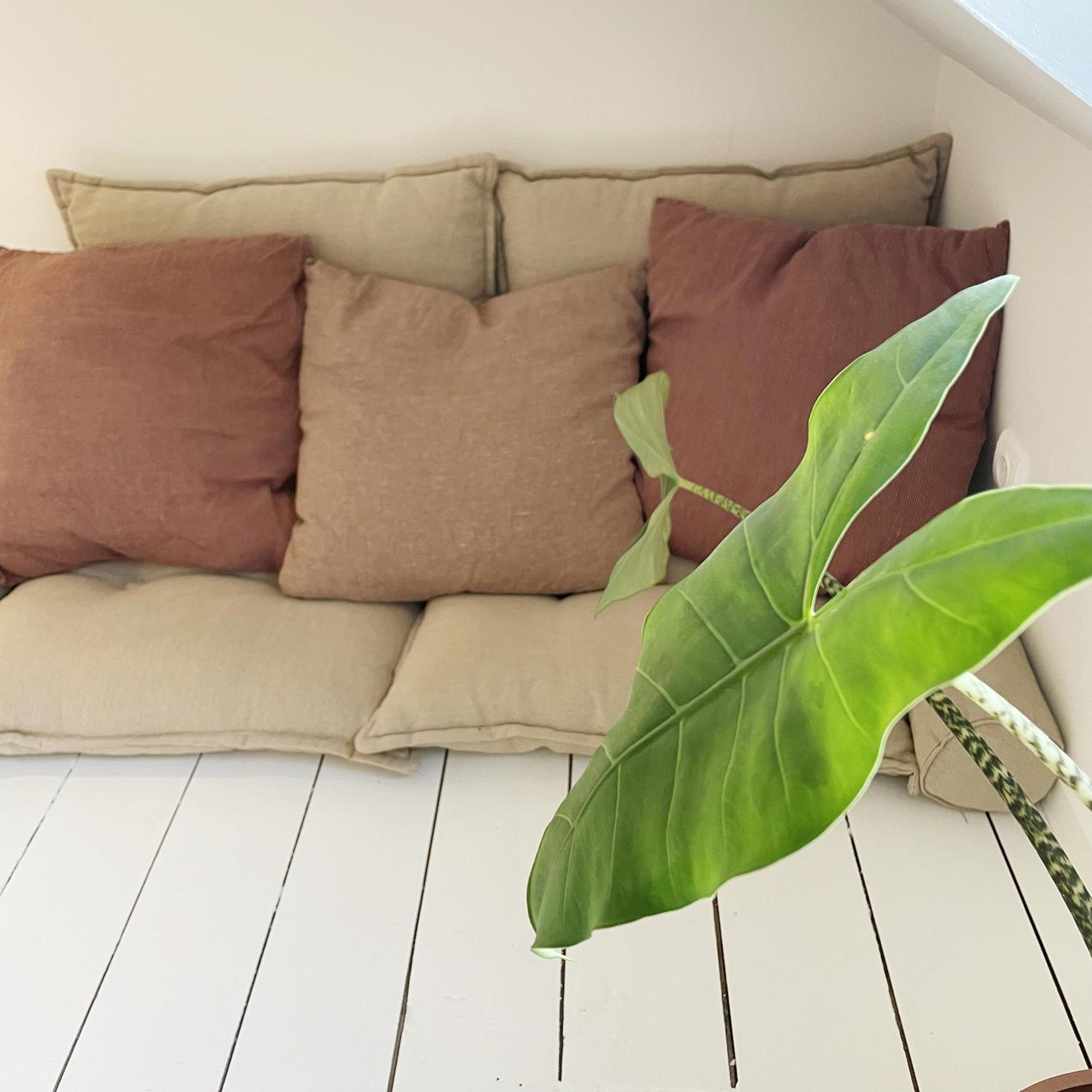 Ferienwohnung La Maison Des Rues Pavees Avec Jardin By La Boite En Plus Senlis  Exterior foto