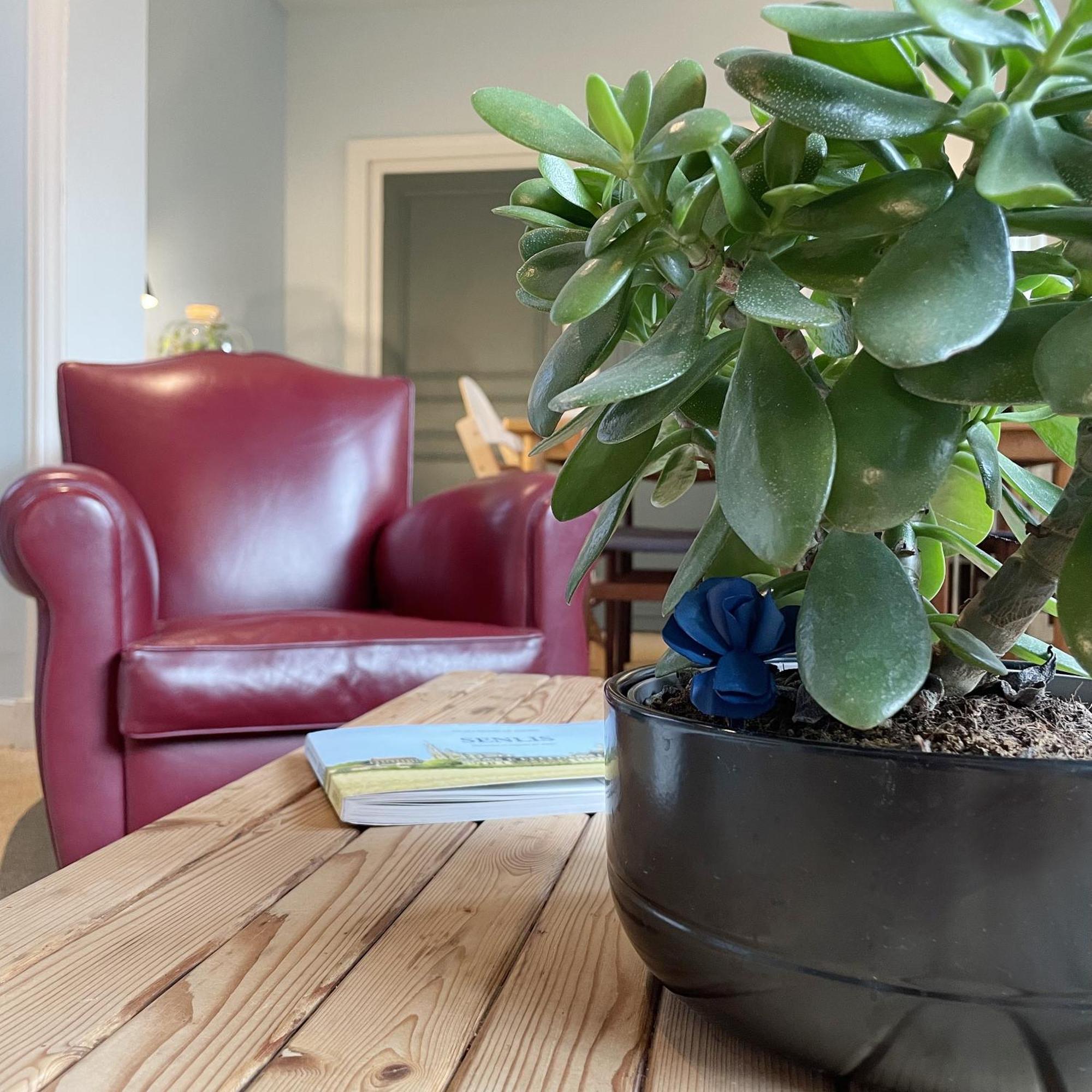 Ferienwohnung La Maison Des Rues Pavees Avec Jardin By La Boite En Plus Senlis  Exterior foto